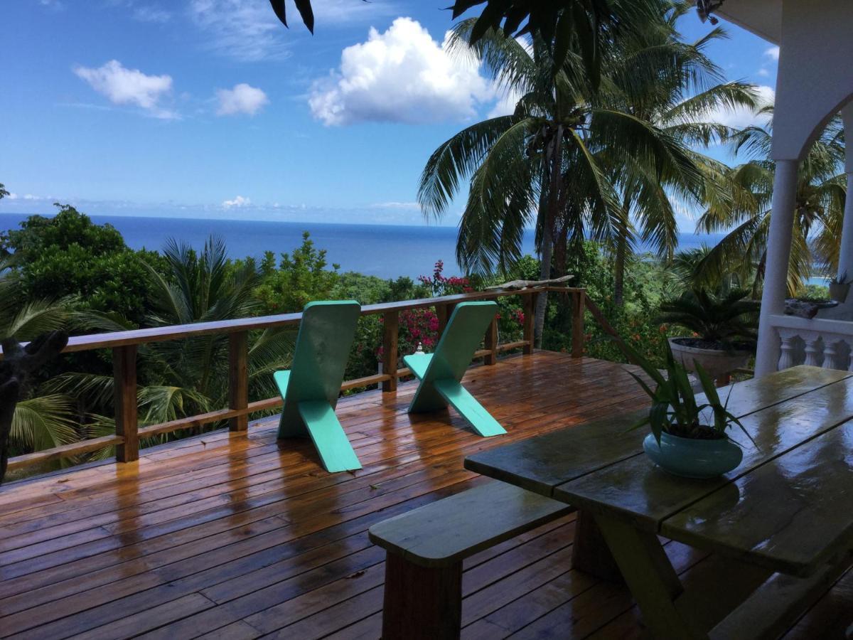 Fantastic Views At Friends Apartment Port Antonio Bagian luar foto